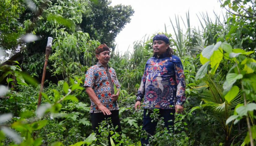 Anggota DPR RI Partai NasDem Nurhadi Dukung Budidaya dan Pengembangan Tanaman Herbal