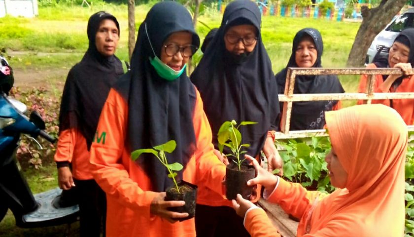 Pembagian 1000 Bibit Sayur Antisipasi Kenaikan Harga Kebutuhan Pokok