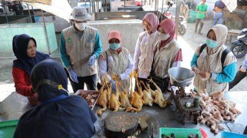Sidak Pasar, DKPP Kota Kediri Pastikan Pedagang Jual Daging Aman, Sehat, Utuh dan Halal