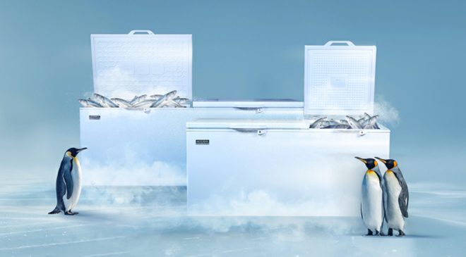 MODENA Perkenalkan Chest Freezer Terbaru, Solusi Andal untuk Berbagai Sektor Usaha