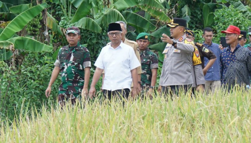 Ikuti Pengarahan Presiden Prabowo, Wakil Wali Kota Panen Padi Serentak 14 Provinsi